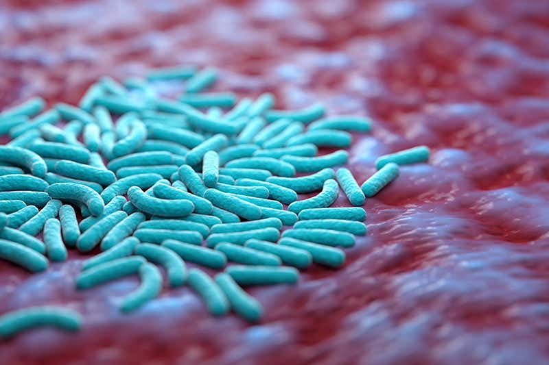 Some types of bacteria help keep you healthy