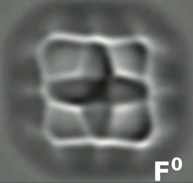 New Scientist. Science news and long reads from expert journalists, covering developments in science, technology, health and the environment on the website and the magazine.