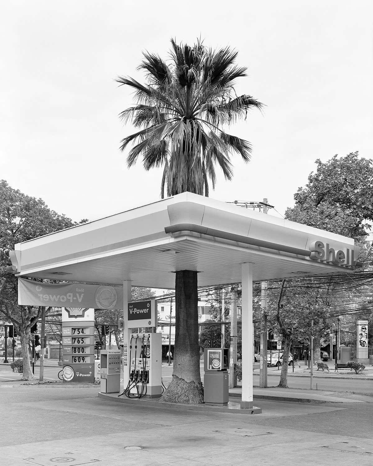 New Scientist. Science news and long reads from expert journalists, covering developments in science, technology, health and the environment on the website and the magazine.