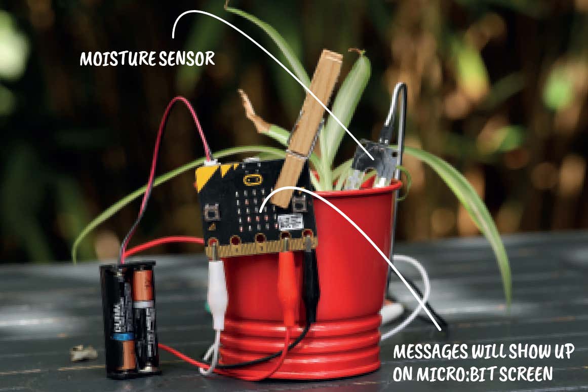 Electronics projects for beginners: Get your plants talking to you