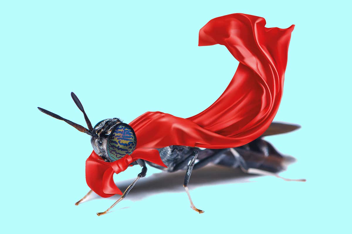 New Scientist. Science news and long reads from expert journalists, covering developments in science, technology, health and the environment on the website and the magazine.