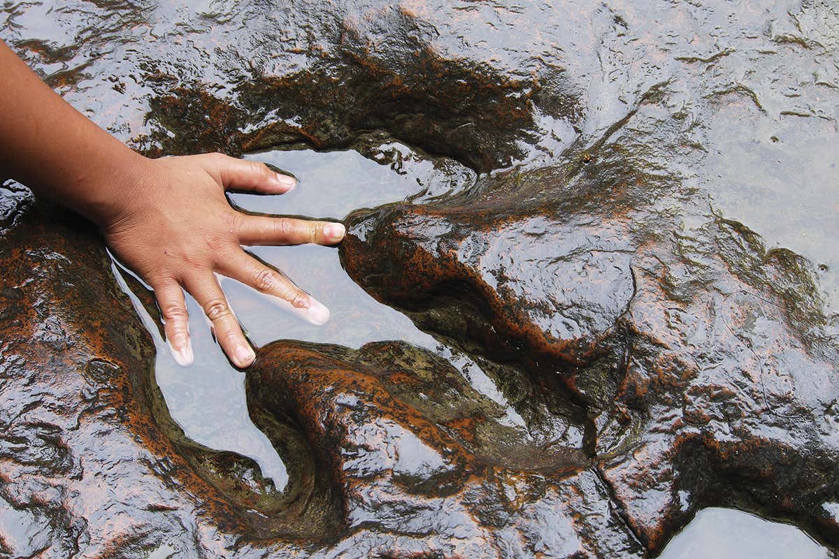 dinosaur footprint