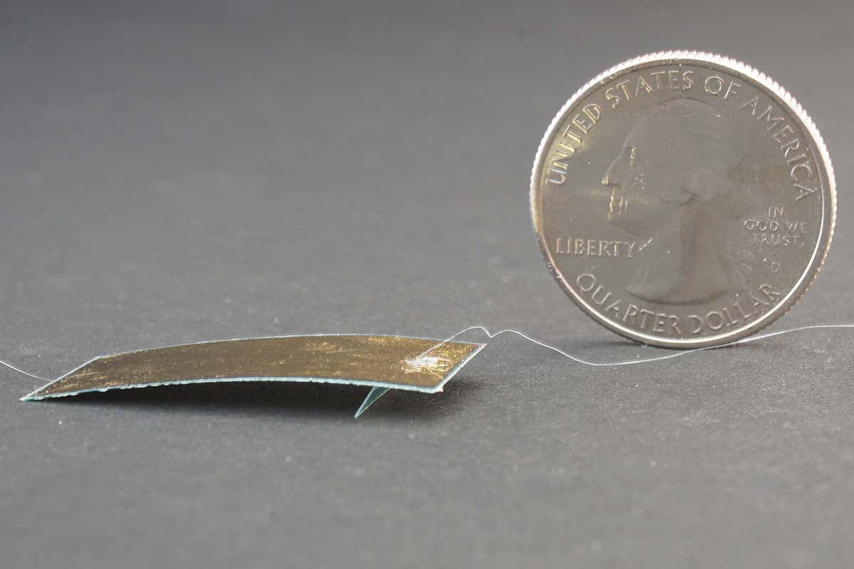 A picture of the tiny robot next to a coin