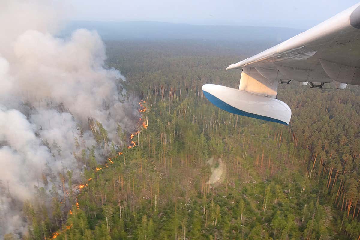 A view of a wildfire seen from an amphibious aircraft