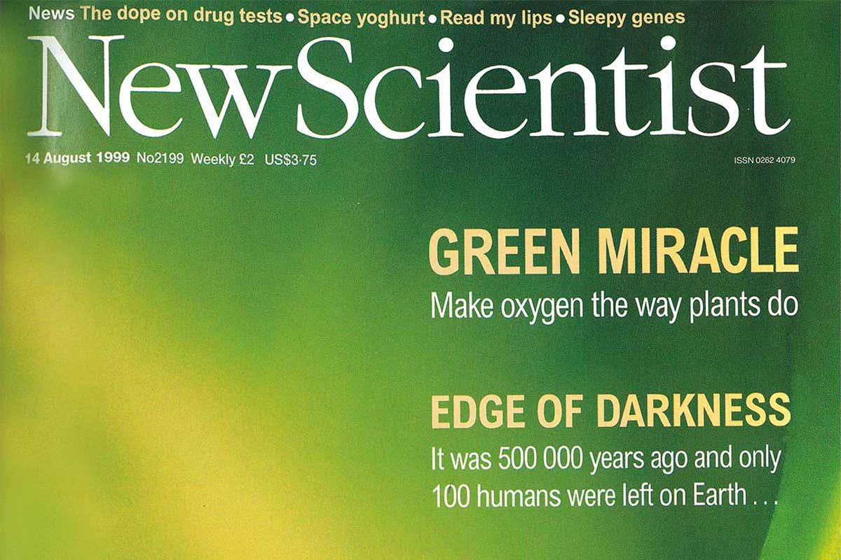 Why genetically modified 'golden rice' failed to conquer the world