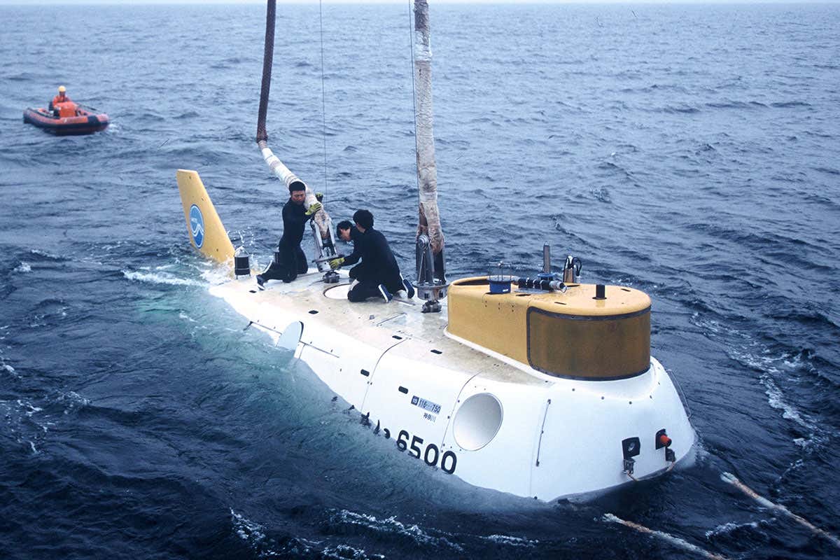 The microbe was collected from deep sea sediments