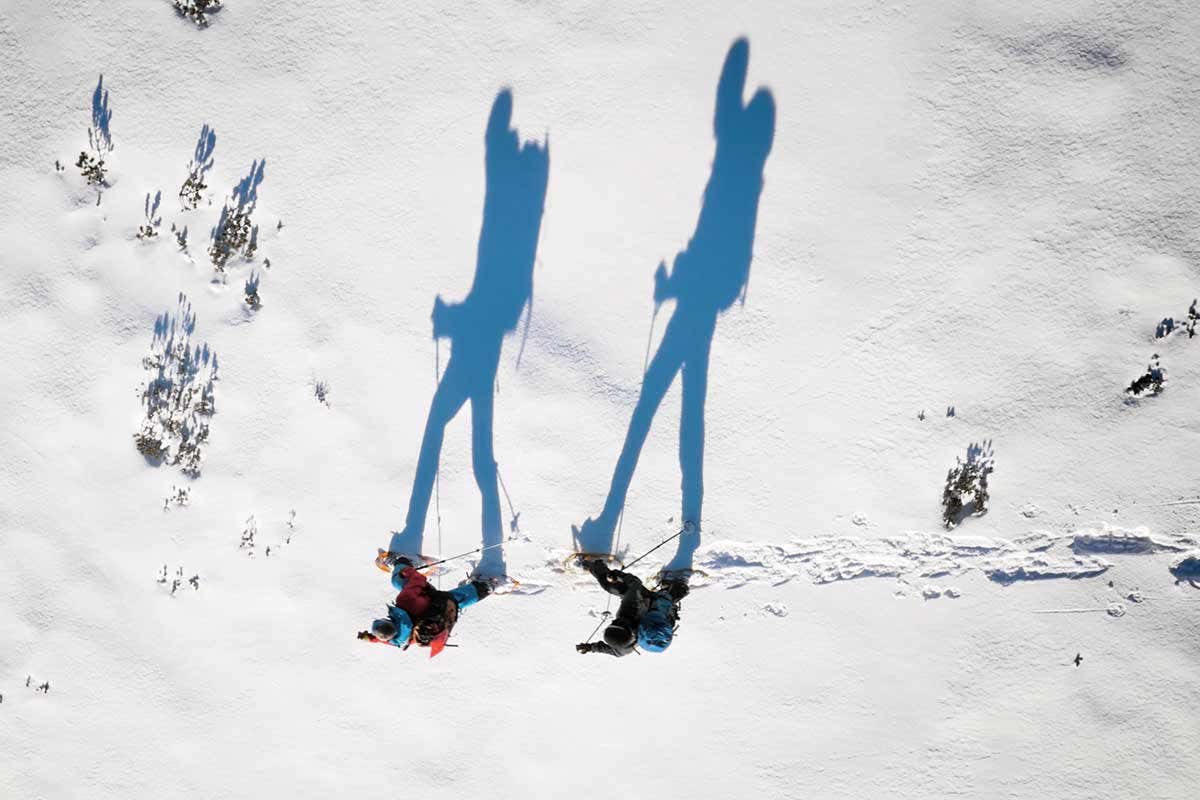 How walking helped humans take over the planet