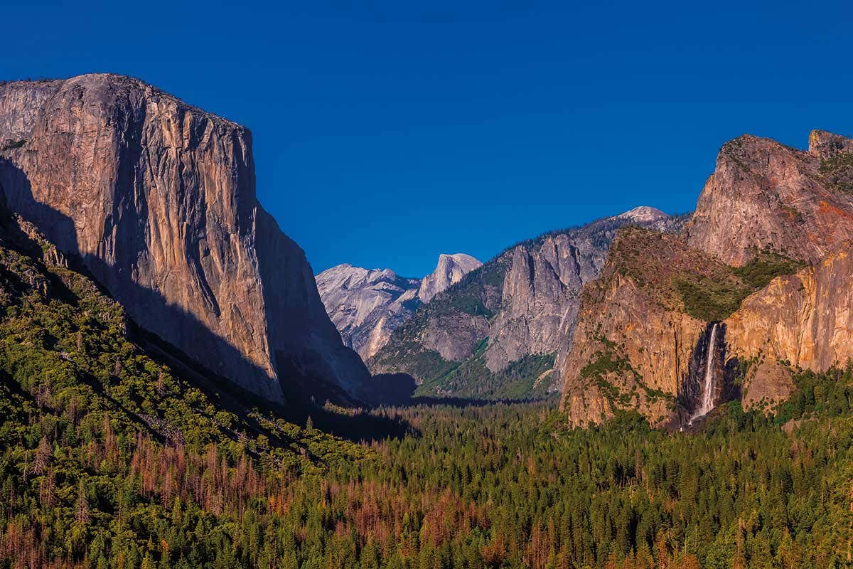 New Scientist. Science news and long reads from expert journalists, covering developments in science, technology, health and the environment on the website and the magazine.