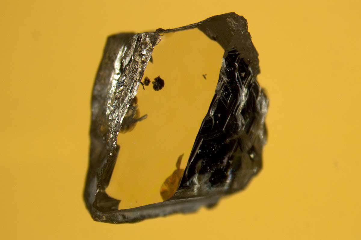 New Scientist. Science news and long reads from expert journalists, covering developments in science, technology, health and the environment on the website and the magazine.