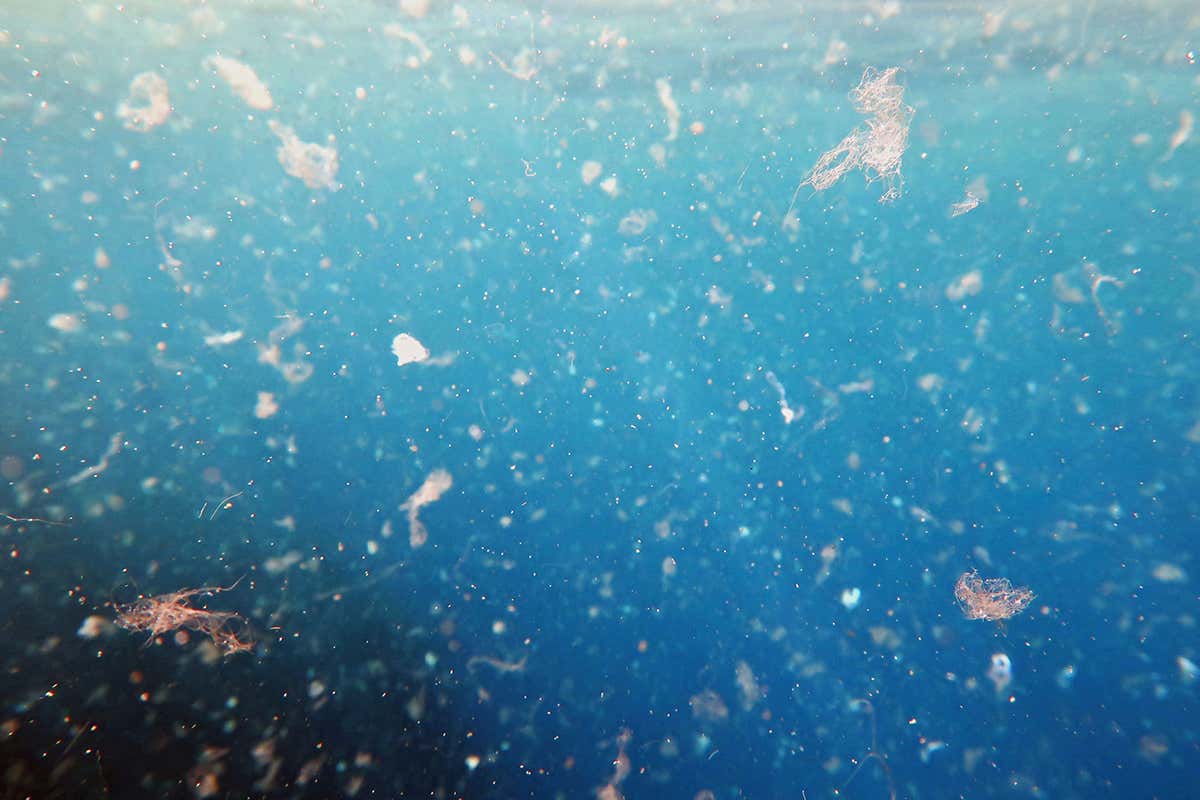 Plastic in the ocean