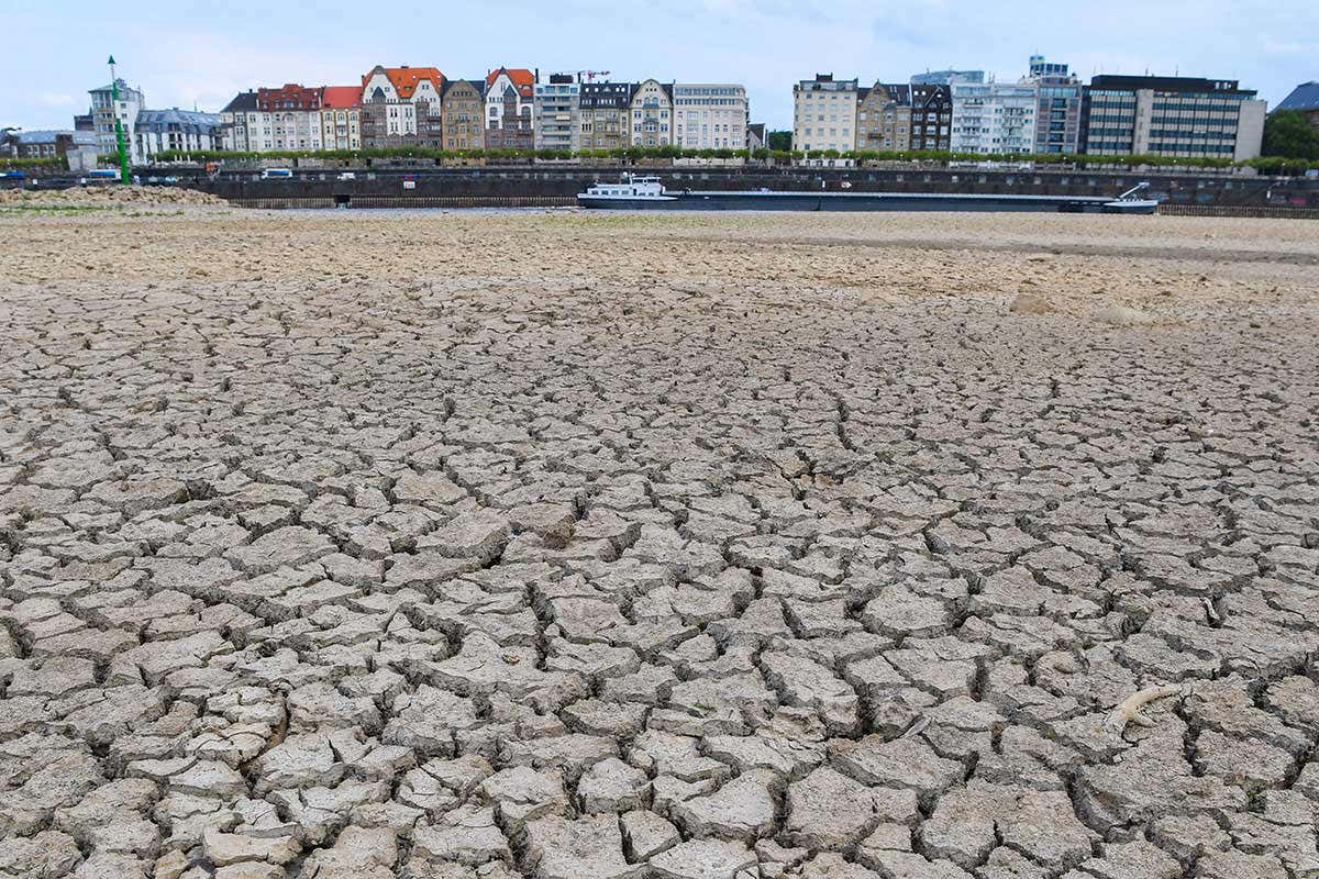 New Scientist. Science news and long reads from expert journalists, covering developments in science, technology, health and the environment on the website and the magazine.