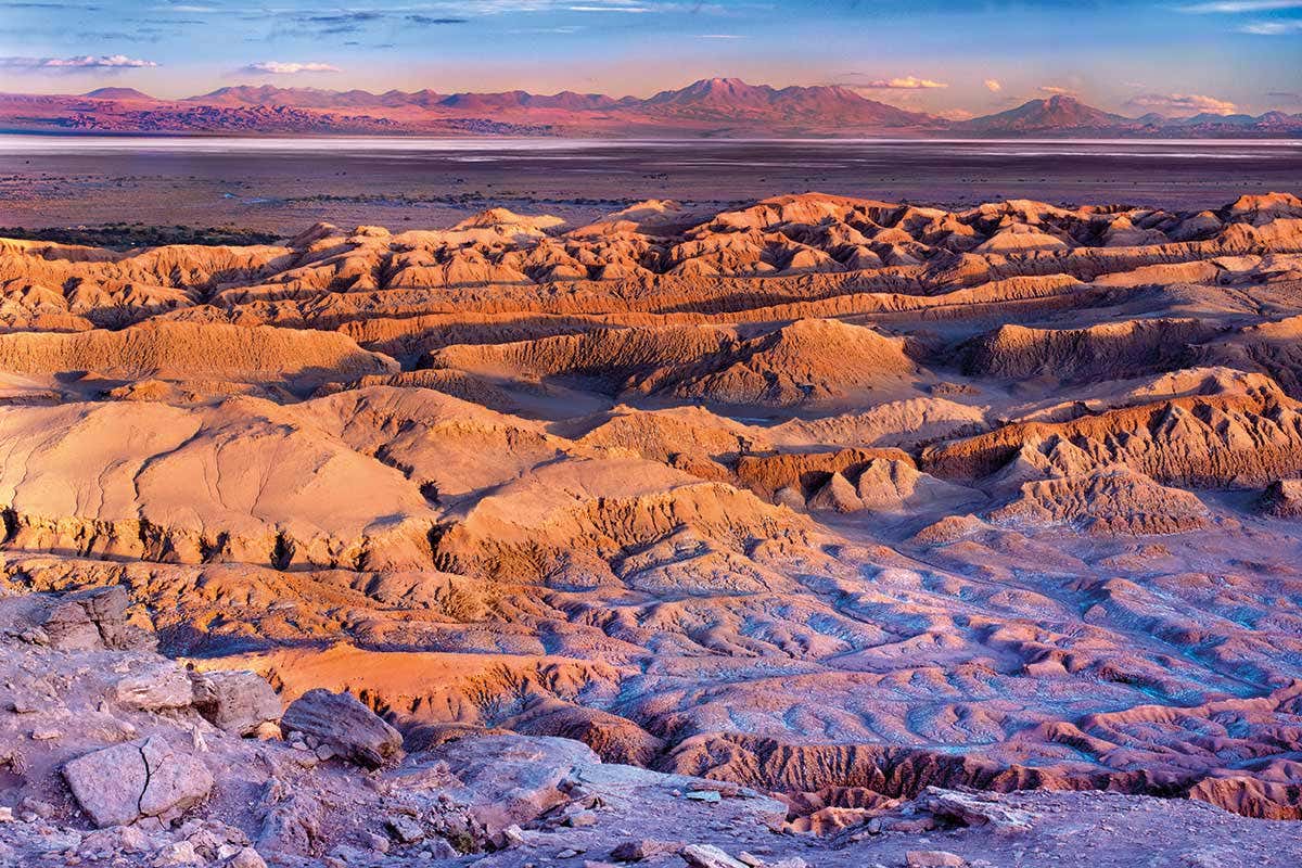 Some microbes manage to live in the inhospitable Atacama desert