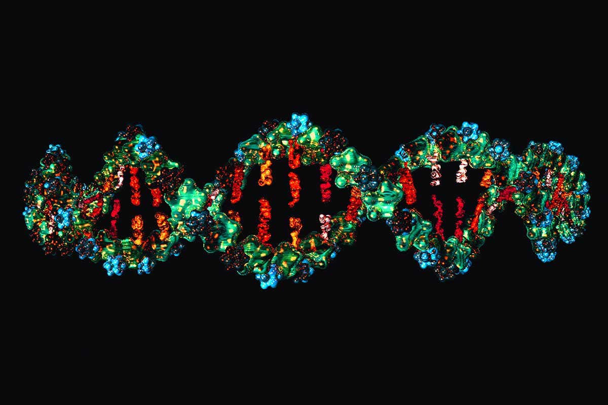 DNA