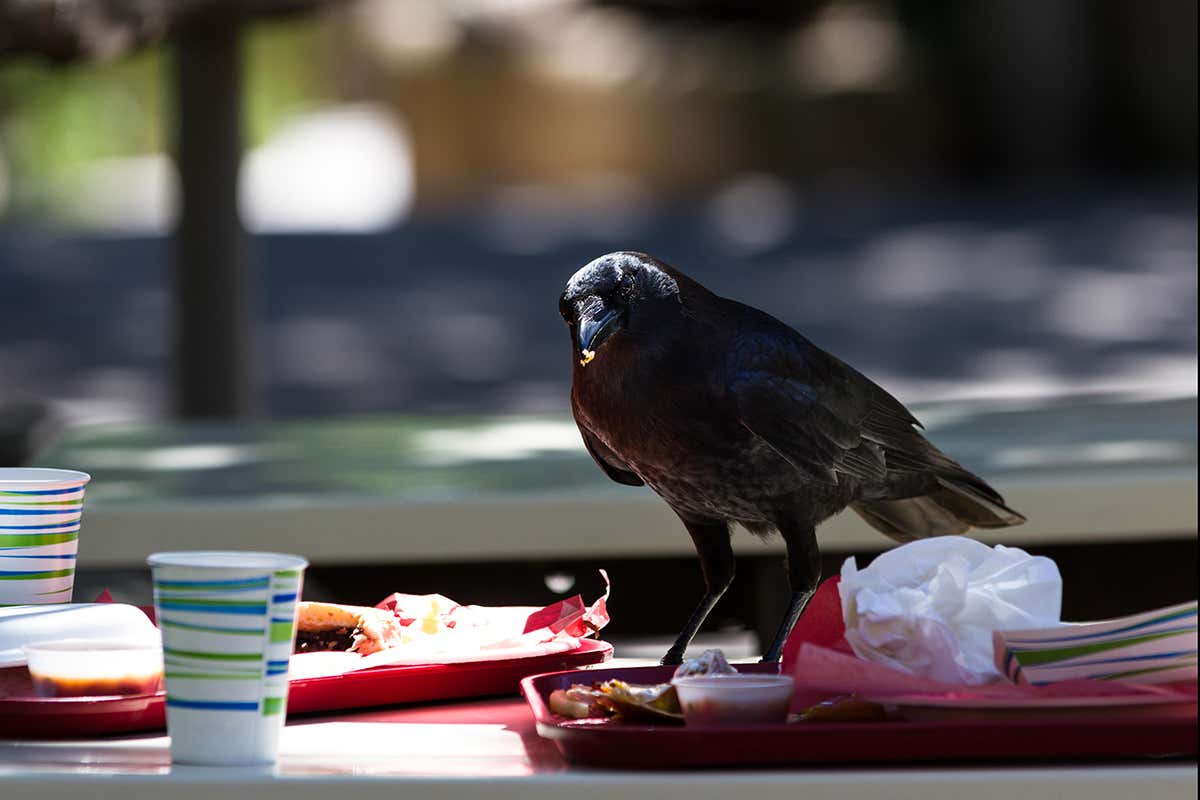 New Scientist. Science news and long reads from expert journalists, covering developments in science, technology, health and the environment on the website and the magazine.