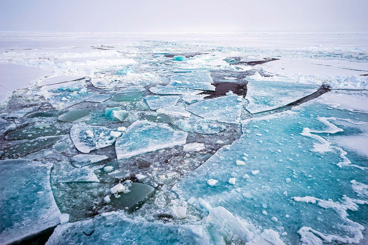 Arctic ice