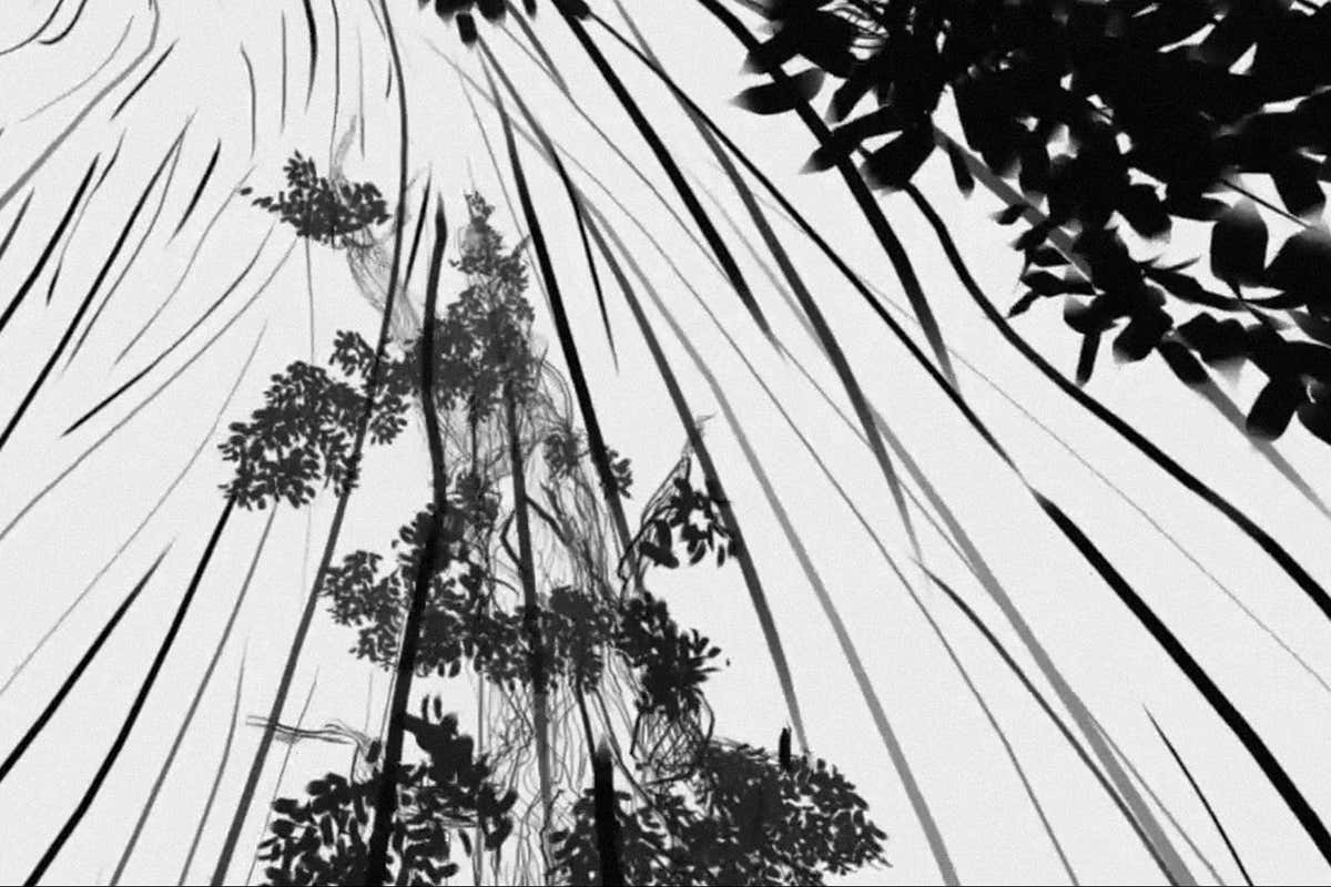 Don't Miss: A documentary festival and the nature of life and death