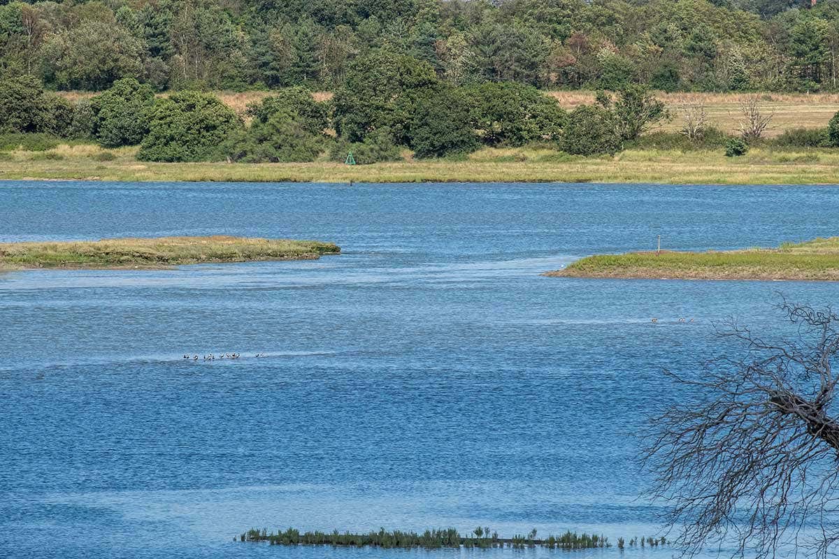 Fingringhoe, Essex, ..Fingringhoe Nature Reserve where the wall of the tidal River Colne was breached to create a new wetland