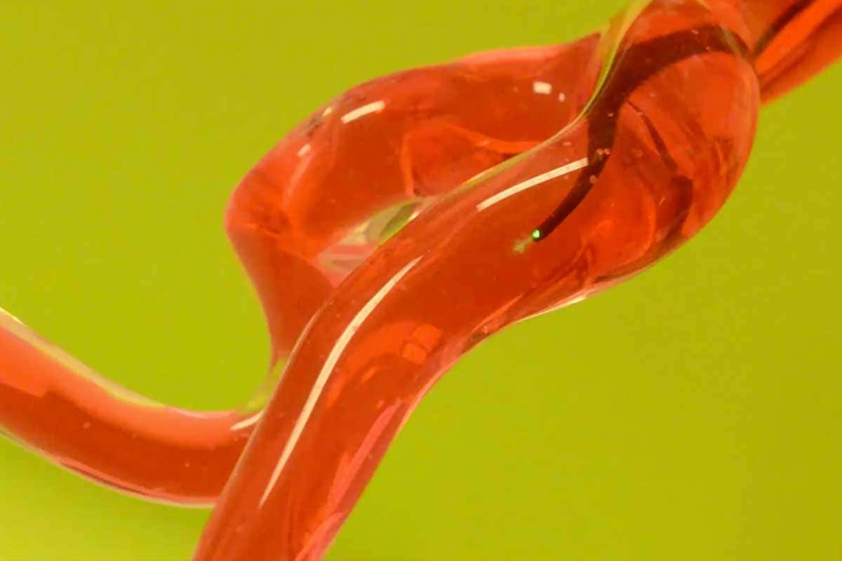 New Scientist. Science news and long reads from expert journalists, covering developments in science, technology, health and the environment on the website and the magazine.