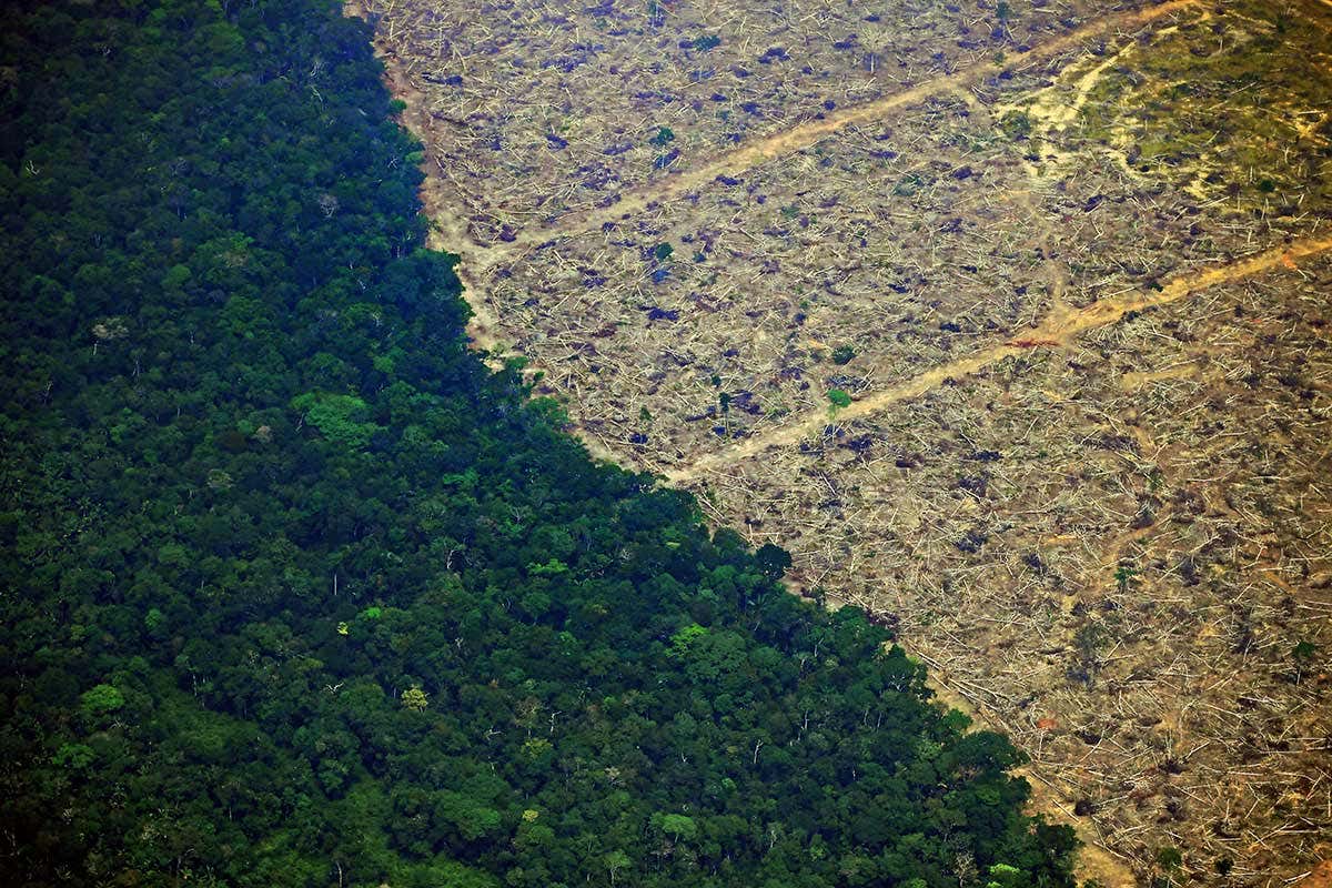 Aerial shot of the Amazon rainforest