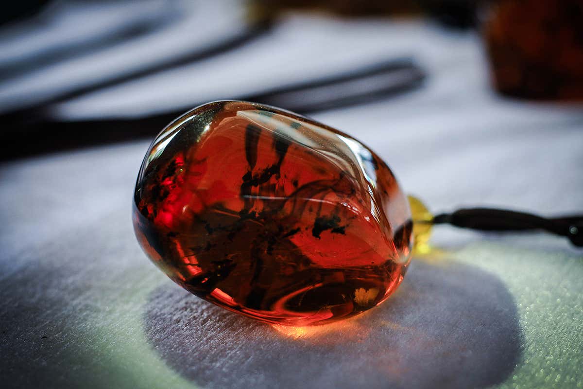 Red amber from Kachin