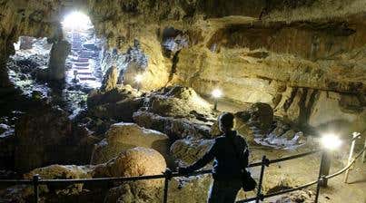 New Scientist. Science news and long reads from expert journalists, covering developments in science, technology, health and the environment on the website and the magazine.