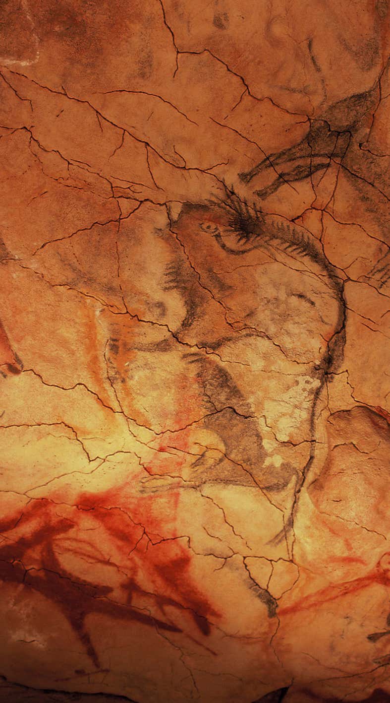 New Scientist. Science news and long reads from expert journalists, covering developments in science, technology, health and the environment on the website and the magazine.