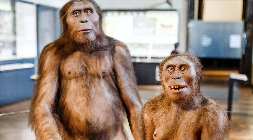 New Scientist. Science news and long reads from expert journalists, covering developments in science, technology, health and the environment on the website and the magazine.