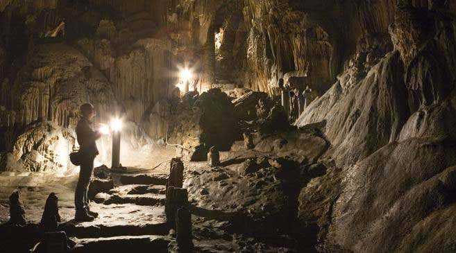 New Scientist. Science news and long reads from expert journalists, covering developments in science, technology, health and the environment on the website and the magazine.