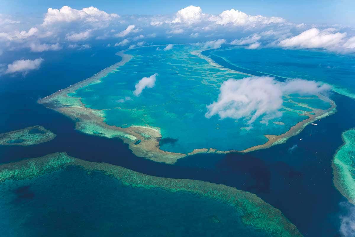 great barrier reef