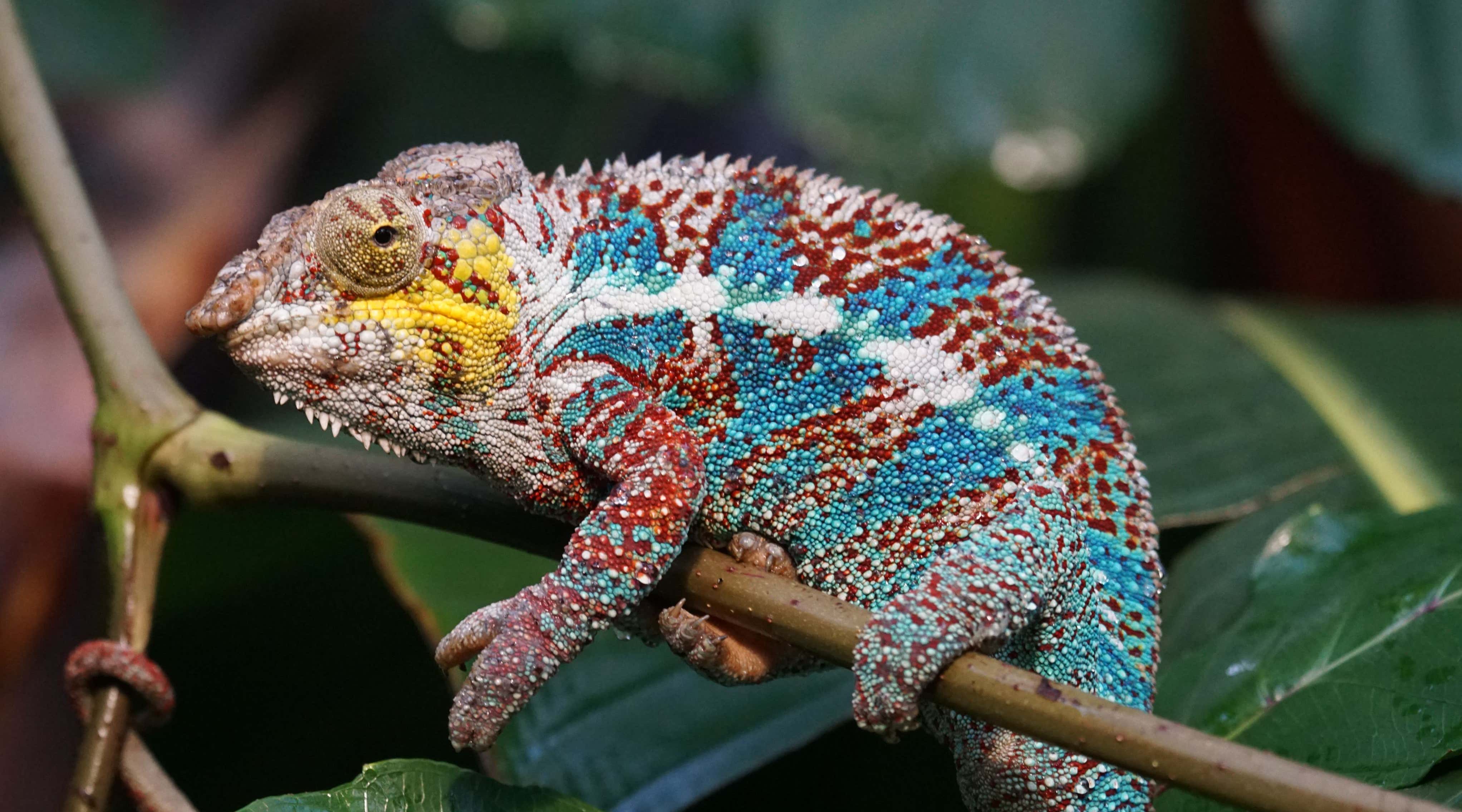 New Scientist. Science news and long reads from expert journalists, covering developments in science, technology, health and the environment on the website and the magazine.