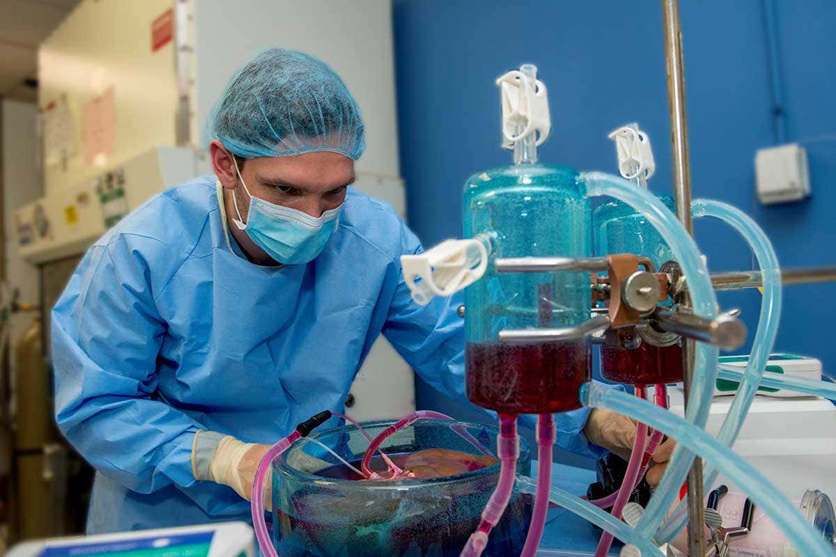 de Vries conducting a liver supercooling experiment