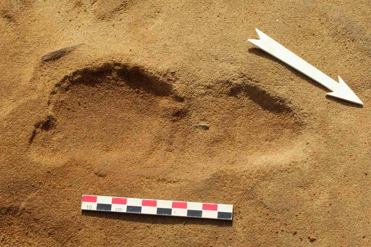 This is one of the Neanderthal footprints discovered at Le Rozel