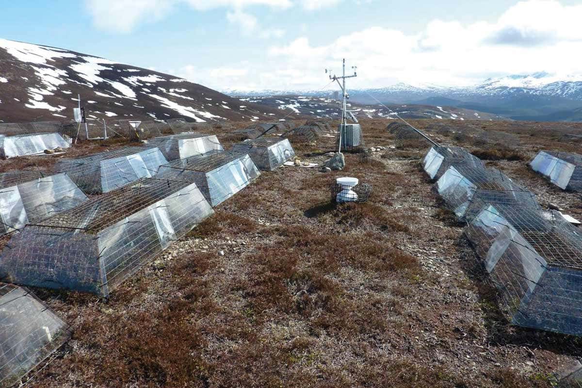 New Scientist. Science news and long reads from expert journalists, covering developments in science, technology, health and the environment on the website and the magazine.