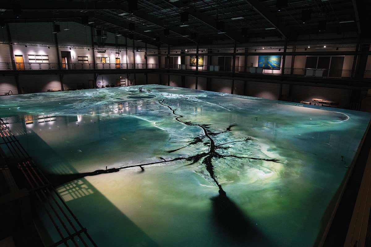 New Scientist. Science news and long reads from expert journalists, covering developments in science, technology, health and the environment on the website and the magazine.