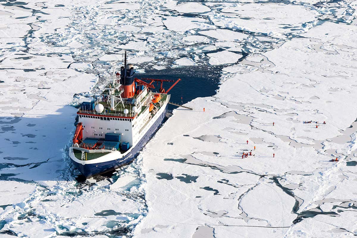 New Scientist. Science news and long reads from expert journalists, covering developments in science, technology, health and the environment on the website and the magazine.