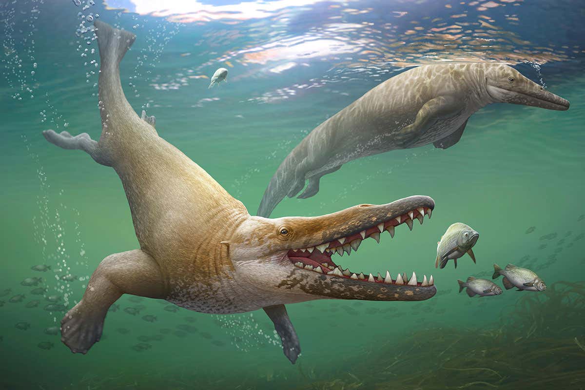 Artists impression of early whales