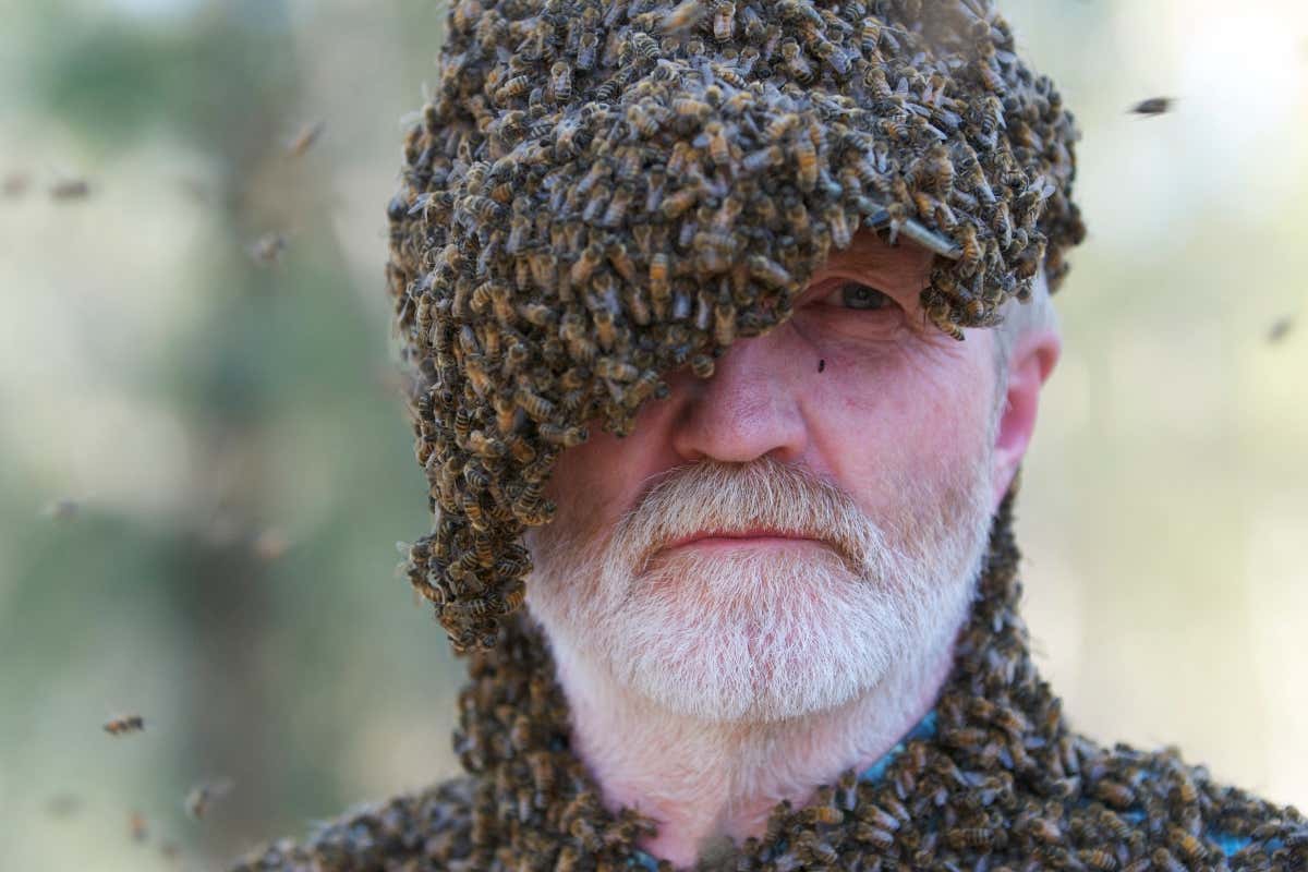 George McGavin will be at New Scientist Live 2019