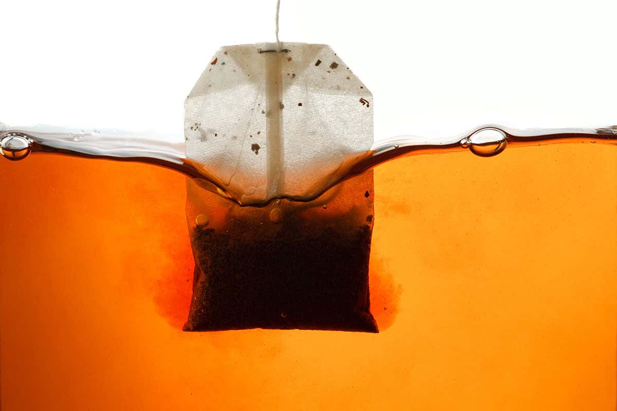 teabag steeping