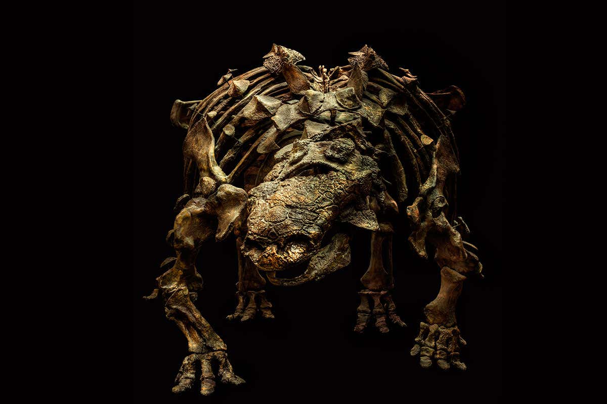 Dinosaurs go goth horror for unusual outing at London exhibition