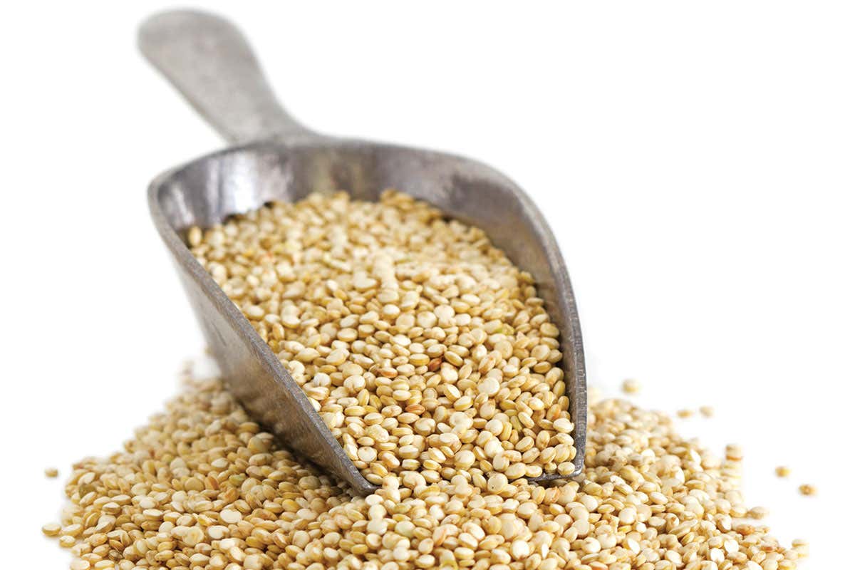 New Scientist. Science news and long reads from expert journalists, covering developments in science, technology, health and the environment on the website and the magazine.