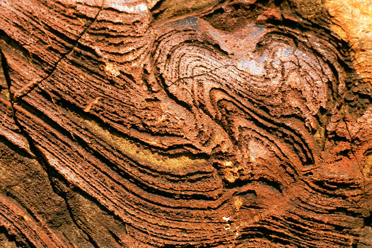 Stromatolite formation from Australia