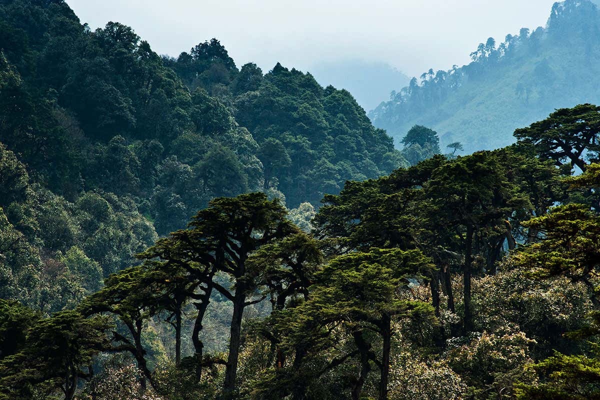 New Scientist. Science news and long reads from expert journalists, covering developments in science, technology, health and the environment on the website and the magazine.