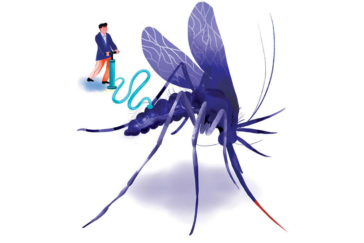 Scare stories of mutant GM mosquitoes aren’t true, but have some truth