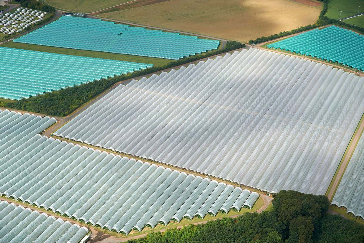 Poly Tunnels - growing crops under plastic, Leeds Northern England