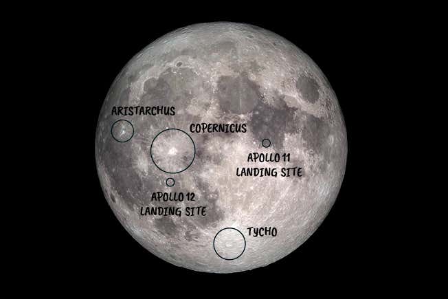 New Scientist. Science news and long reads from expert journalists, covering developments in science, technology, health and the environment on the website and the magazine.