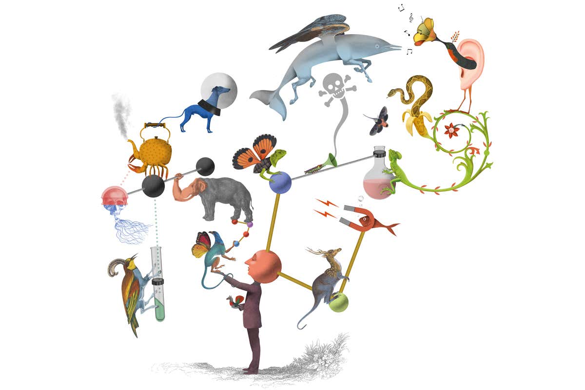 Want to regrow organs and defy cancer? Just copy these awesome animals