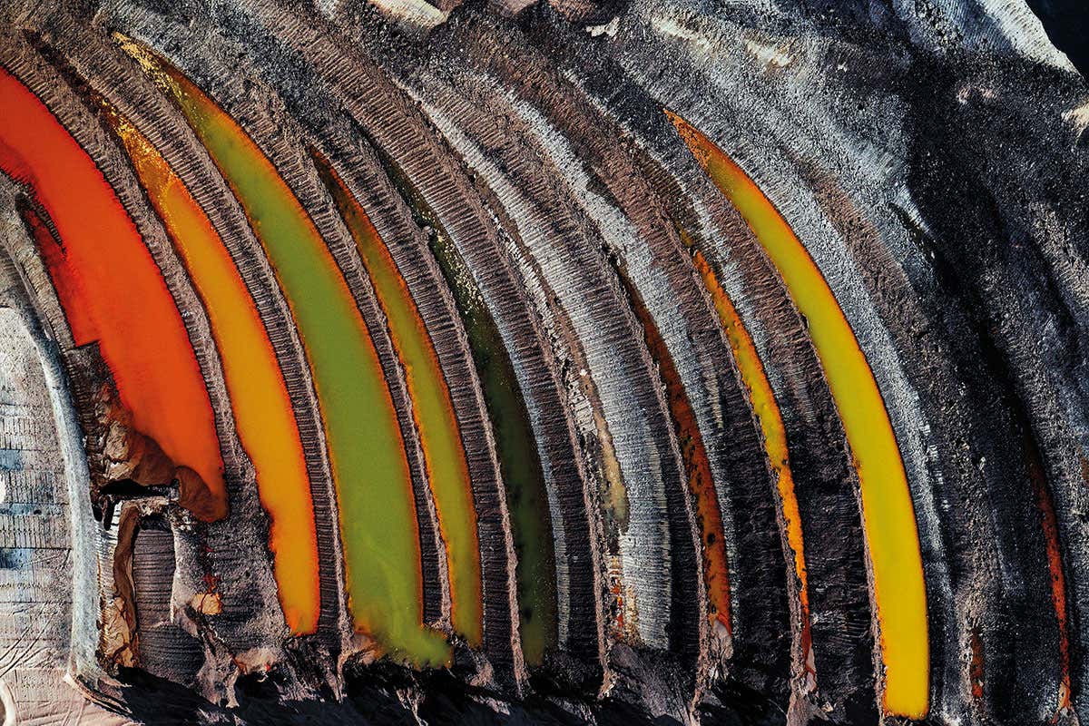 Brilliant colours tell a tragic tale of how coal killed a forest