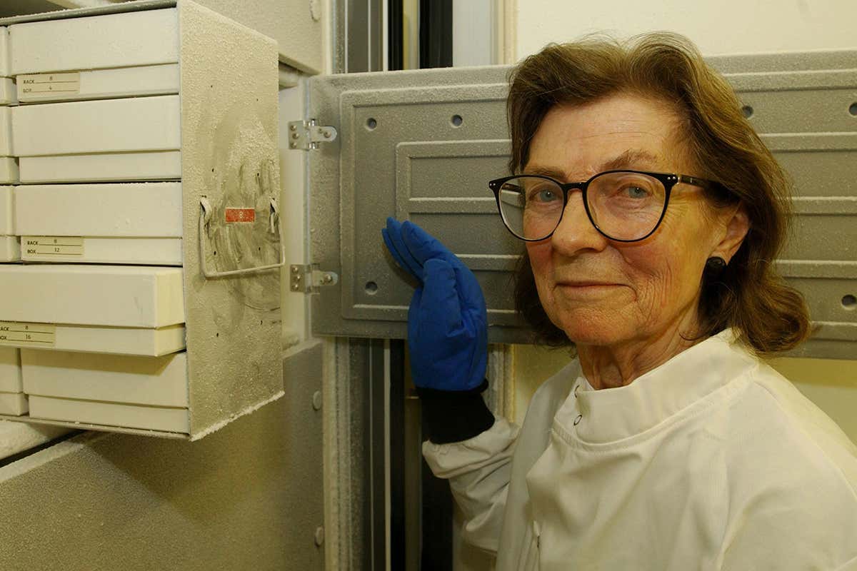 Dr Anne McLaren, at the Natural History Museum in London