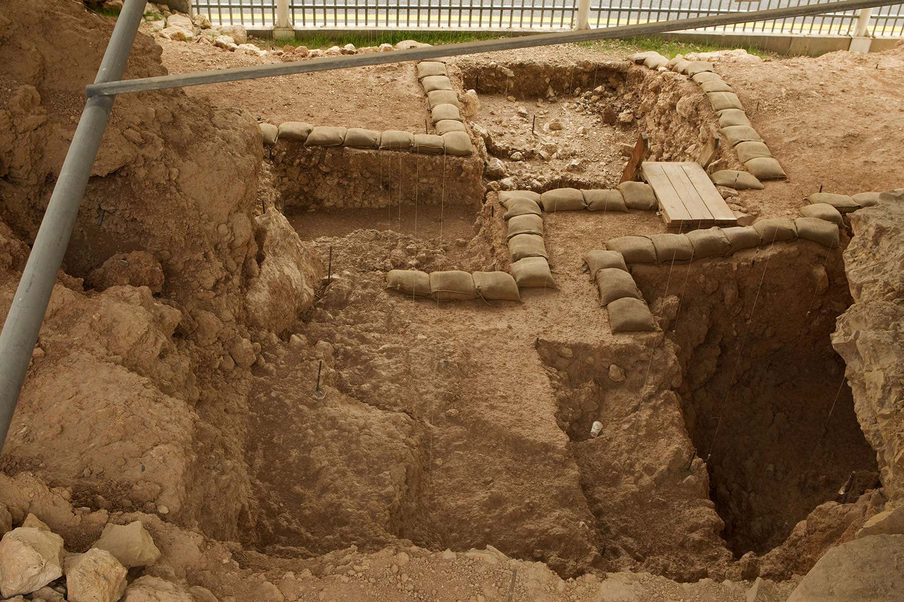 New Scientist. Science news and long reads from expert journalists, covering developments in science, technology, health and the environment on the website and the magazine.