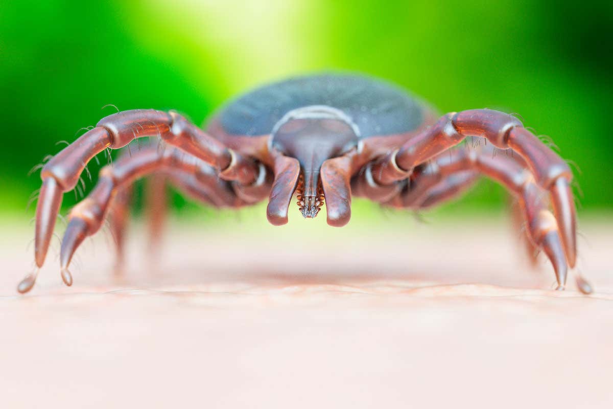 New Scientist. Science news and long reads from expert journalists, covering developments in science, technology, health and the environment on the website and the magazine.